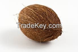 Coconut