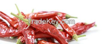 Dry Red Chillies