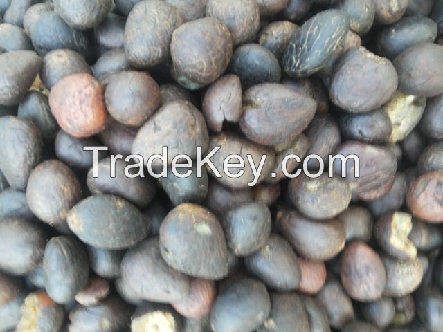 PALM KERNEL NUTS