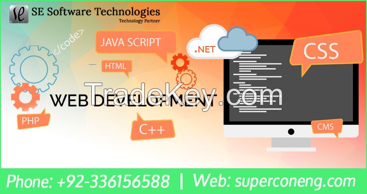 Professional Web development services | Web development solutions