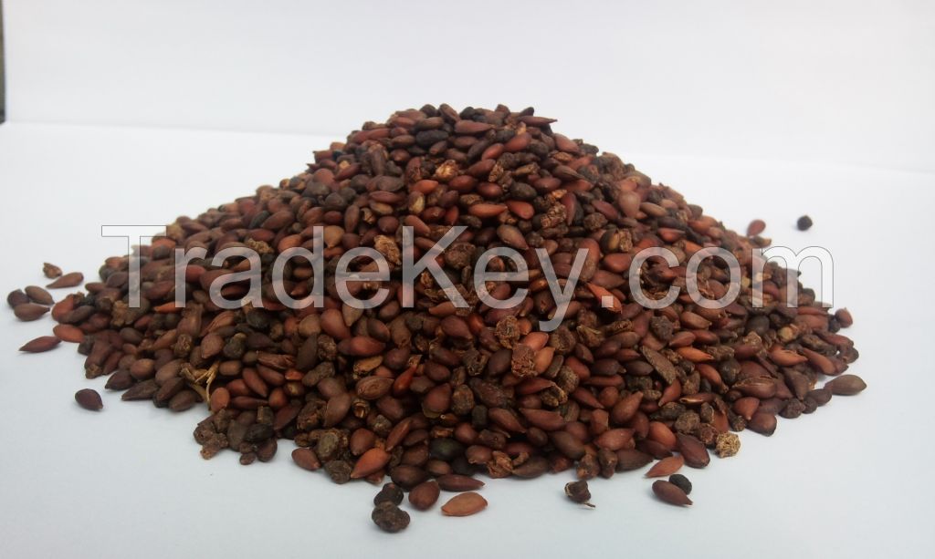 Dried Raspberry Seeds class1, class2 for: direct food, dairy, fruit preparation, oil pressing, cosmetics