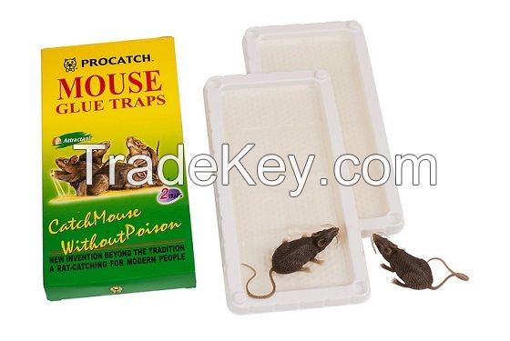 Mouse Glue Trap R-106