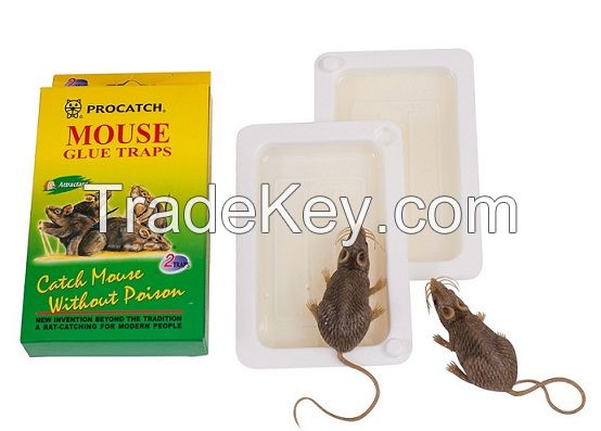 Mouse Glue Trap R-104