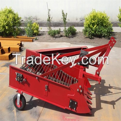 chain-type potato harvester