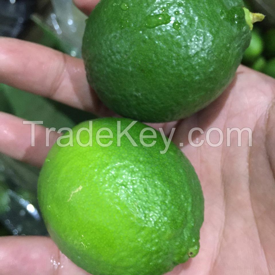 FRESH LIME/LEMON