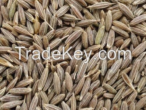 Cumin Seeds