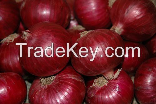 Red onion