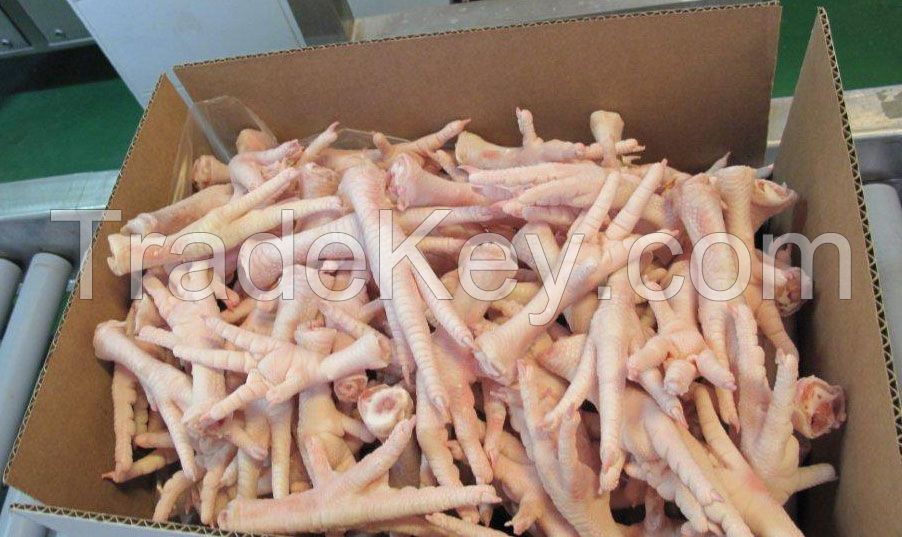 Grade A Hallal Frozen Chicken Paw /Chicken Feet