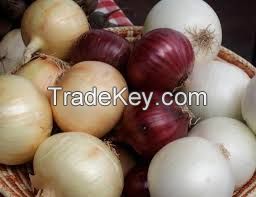 Fresh Red , Yellow and White Onion