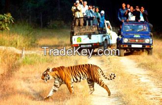 Jaipur Tour and Travels