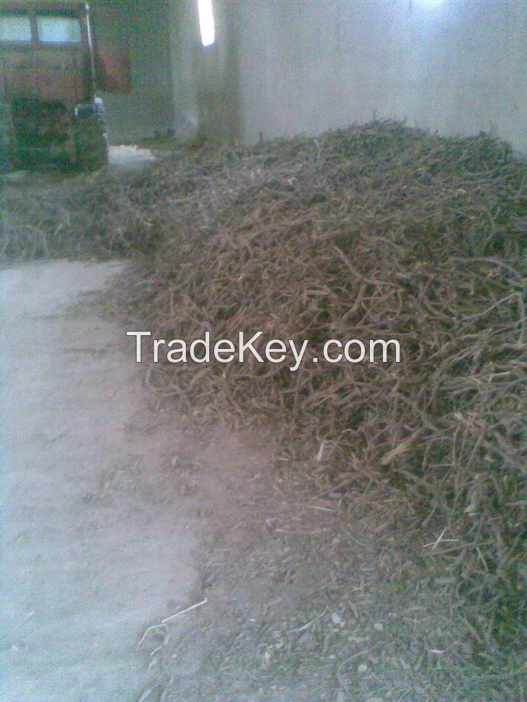 Natural Extract Licorice root Powder/Licorice root Extract Powder