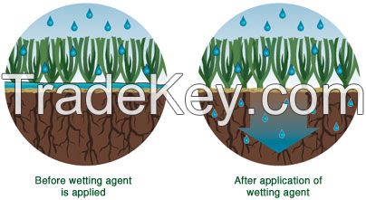 Wetting agent / surfactant