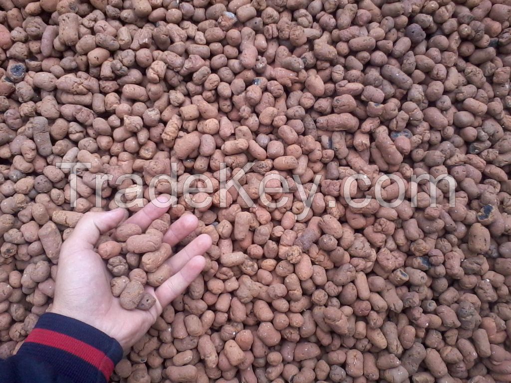 Expanded Clay Aggregate