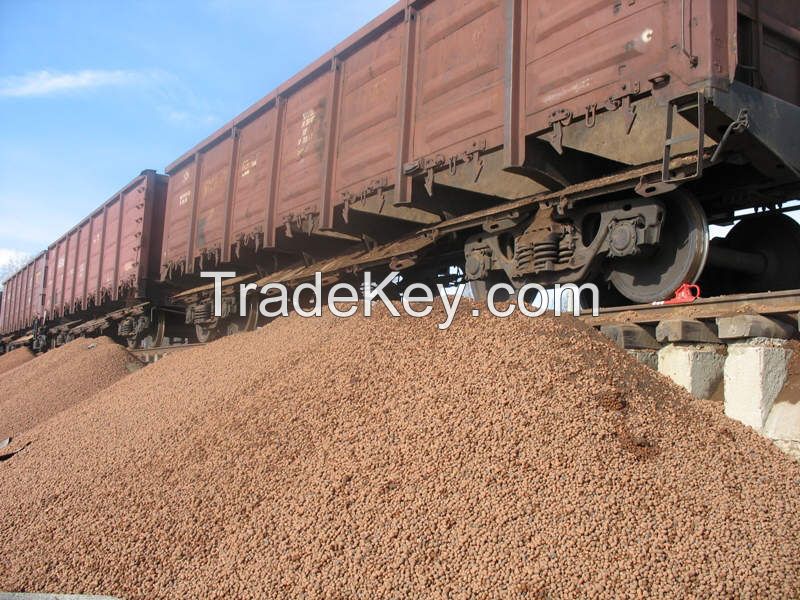 Expanded Clay Aggregate