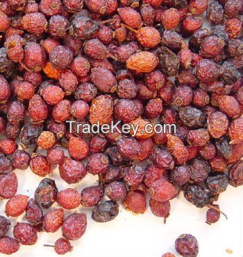 Rose Haws, Rose Heps, Wild Boar Fruit