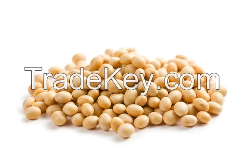 Soybeans