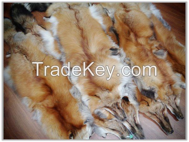 Red fox fur skins from LEOSKIN FURS