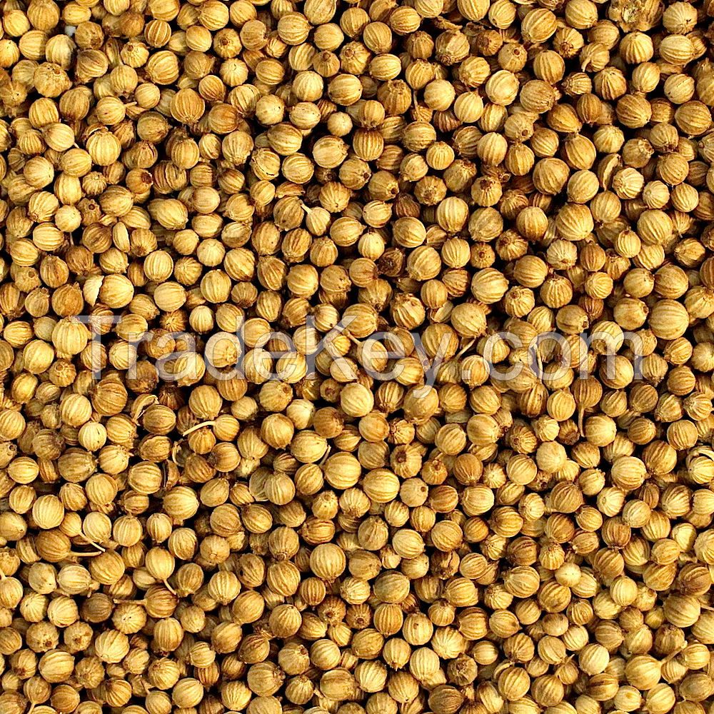 byadgi, sanam, teja, turmeric, coriander, dry red chili