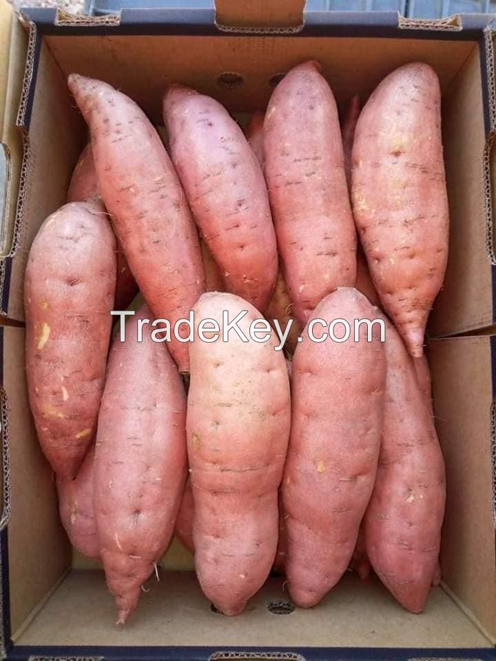 sweet potato