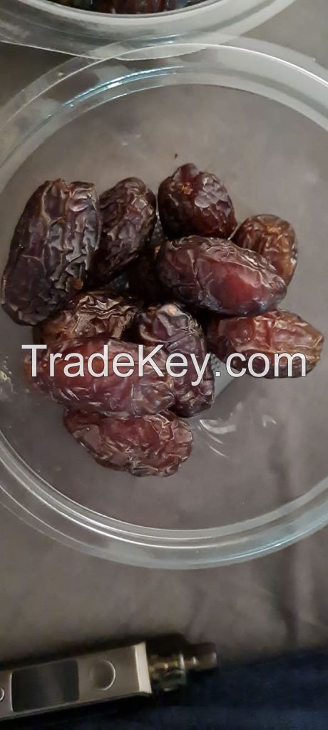 Egyptian dates