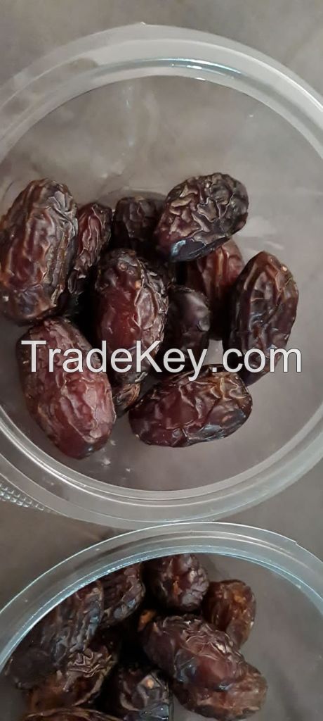 Egyptian dates