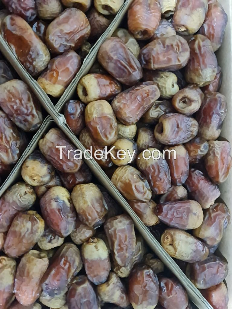 Egyptian dates