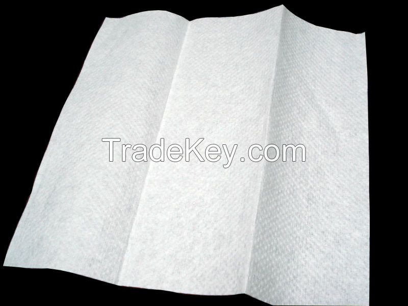 N Fold Tissue