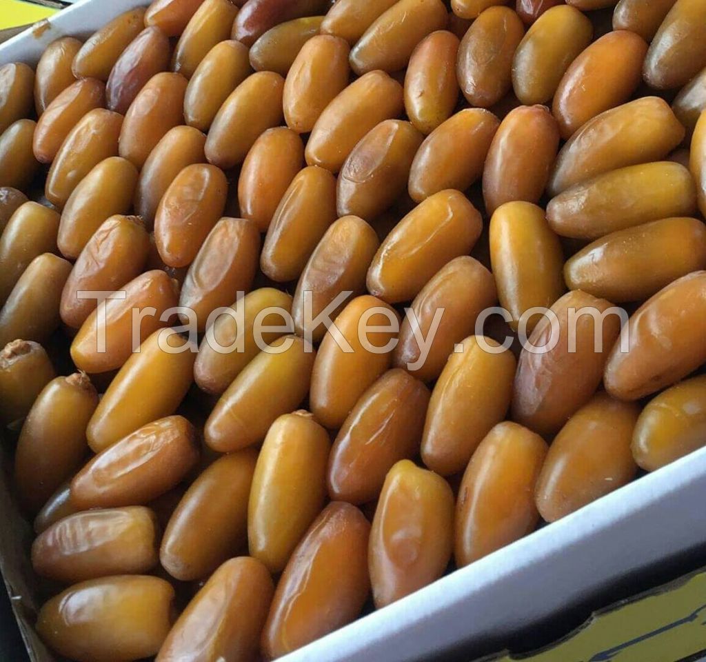 Deglet Noor Dates