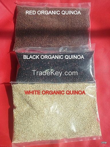 quinoa