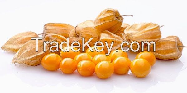 Dried Goldenberry