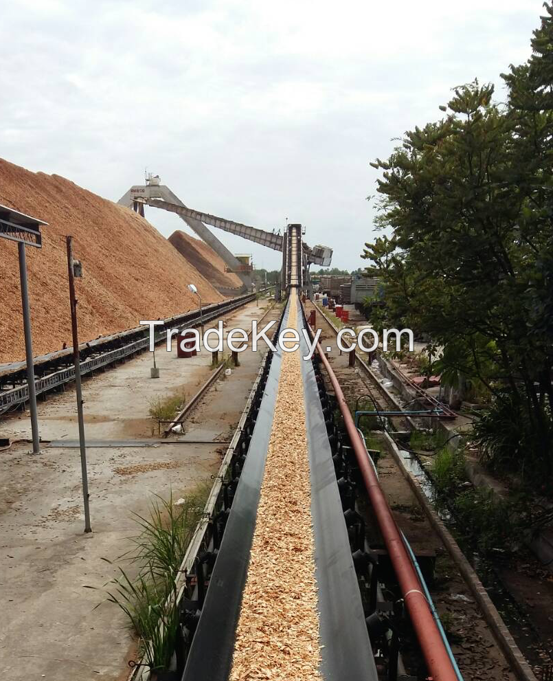 Oil Resistant Conveyor Belt