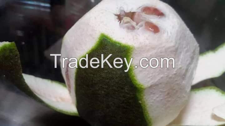 Fresh Green Skin Pomelo - Grapefruit with red meat from Vietnam