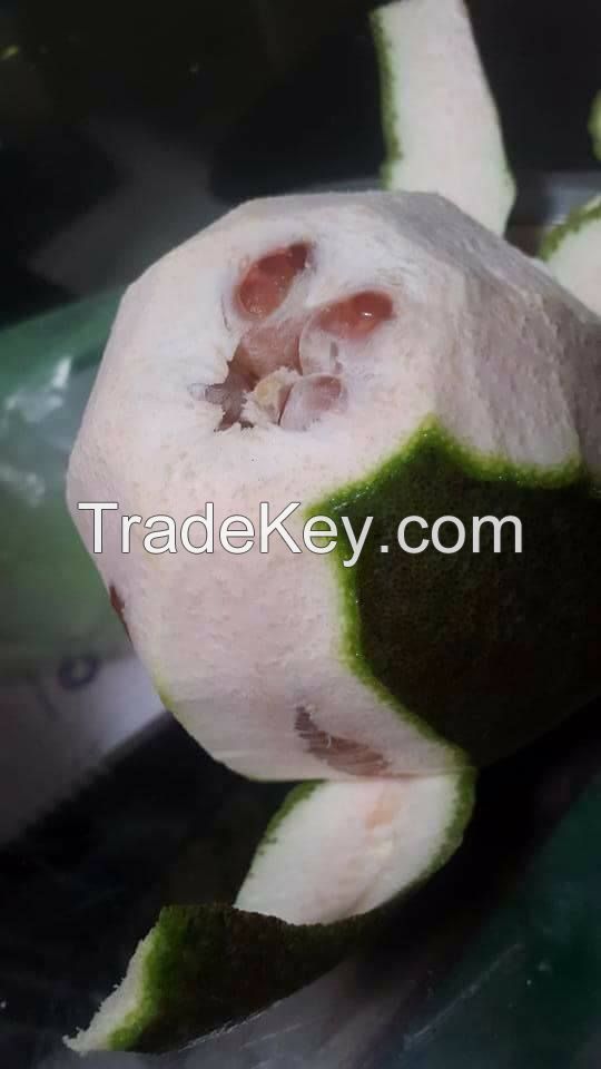 Fresh Green Skin Pomelo - Grapefruit with red meat from Vietnam