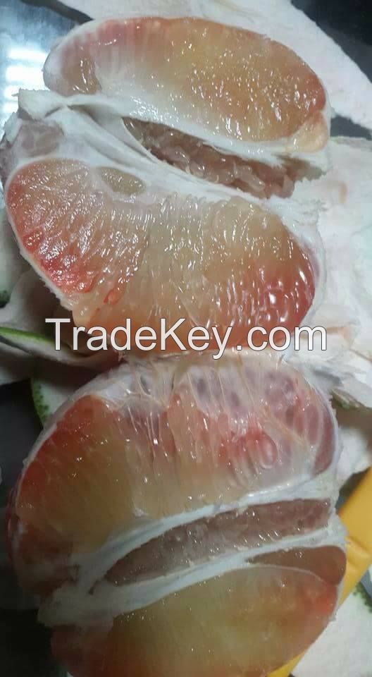 Fresh Green Skin Pomelo - Grapefruit with thin peel