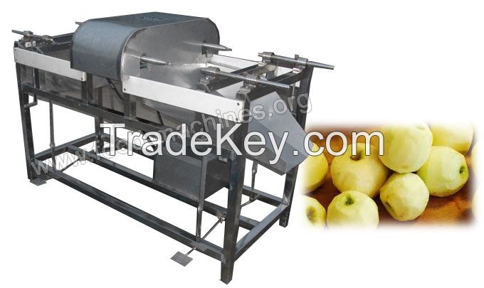 Apple Peeling Machine