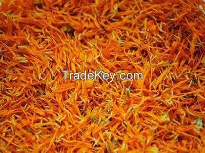 calendula