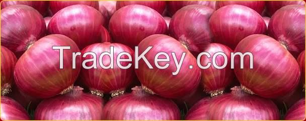 Farm Fresh Onions From Nigeria 