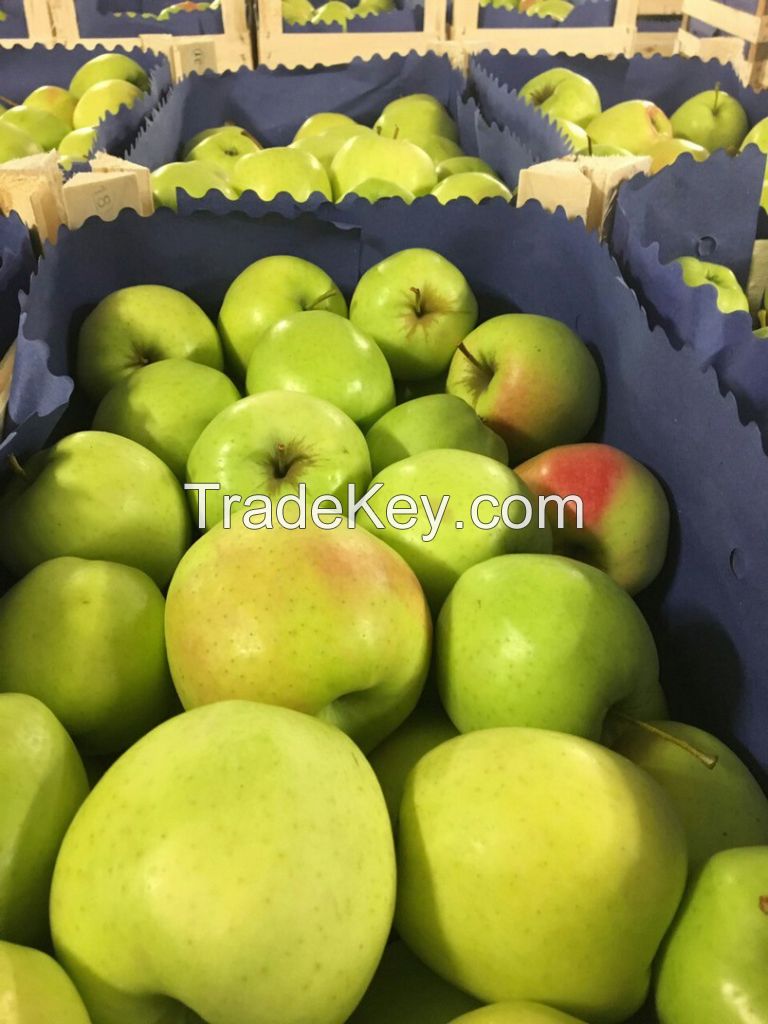 Polish apples from the manufacturer, Red Prince, Gala, Ligol, Golden, Ruby Star, Mutsu, Idared, Lobo, Shampion, Gloster, Jonagored, Cortland, Jonagold.