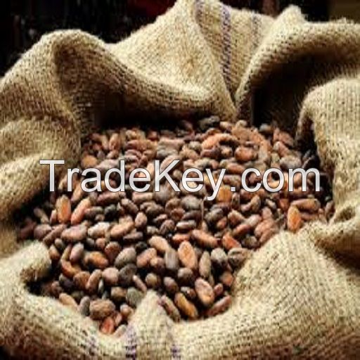 Good quality Dried Grade A Cocoa/ Cacao/ Chocolate bean