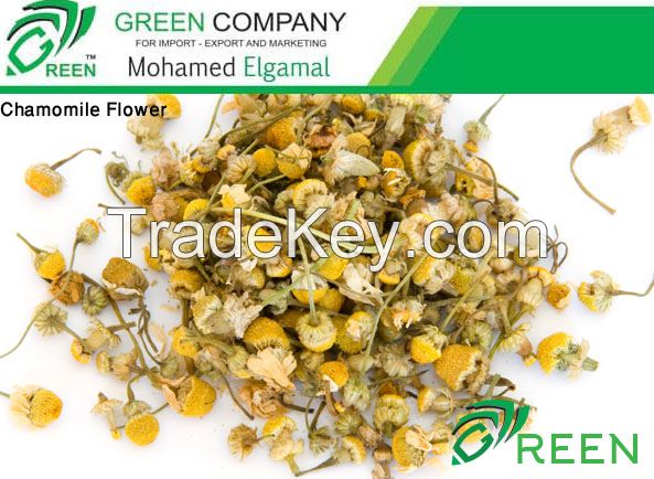 Chamomile Flower 