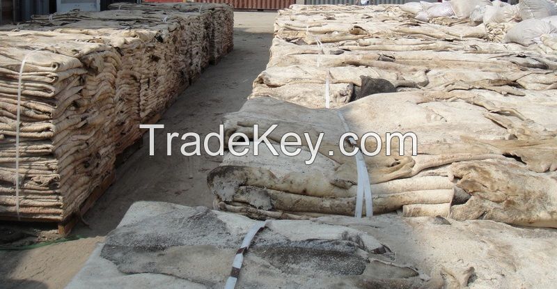 DRY &amp; WET SALTED DONKEY SKINS / HIDES, COW, GOAT, BUFFALO, RABBIT, SHEEP, HORSE  SKINS/HIDES