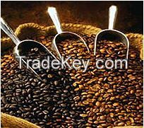 Arabica Coffee