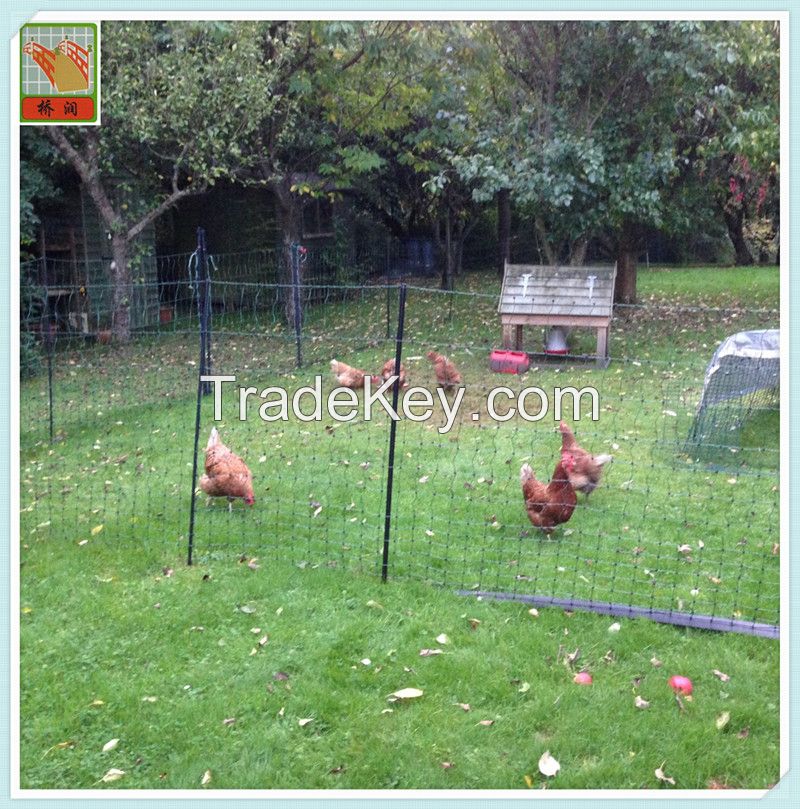 plastic chicken mesh