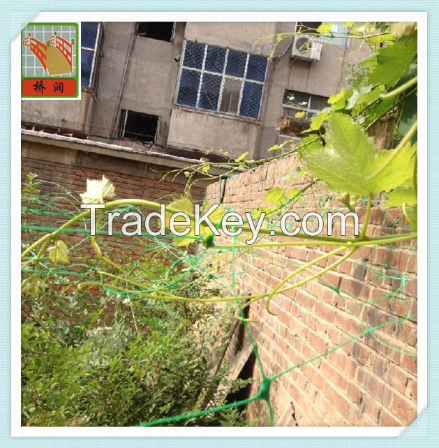 Plant Support Net