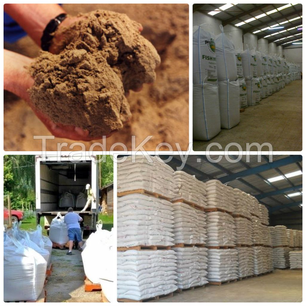 Supplier Animal feeds best price