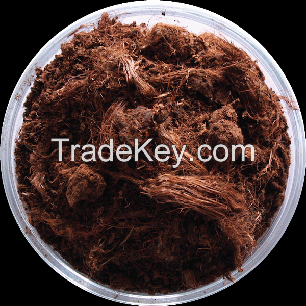 Peat Moss