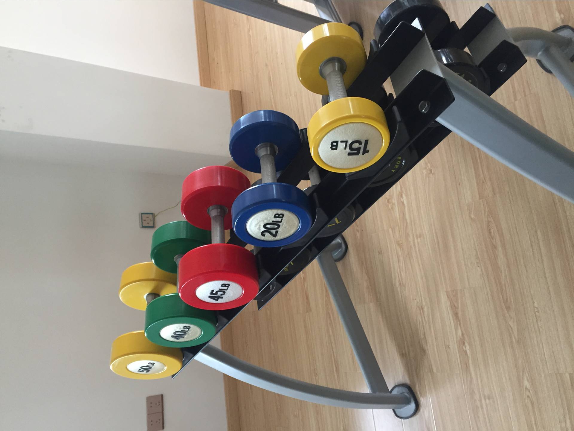 Customize Logo PU Dumbbells