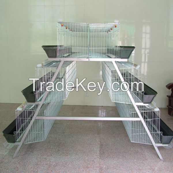 poultry farm chicken egg layer cages for zambia