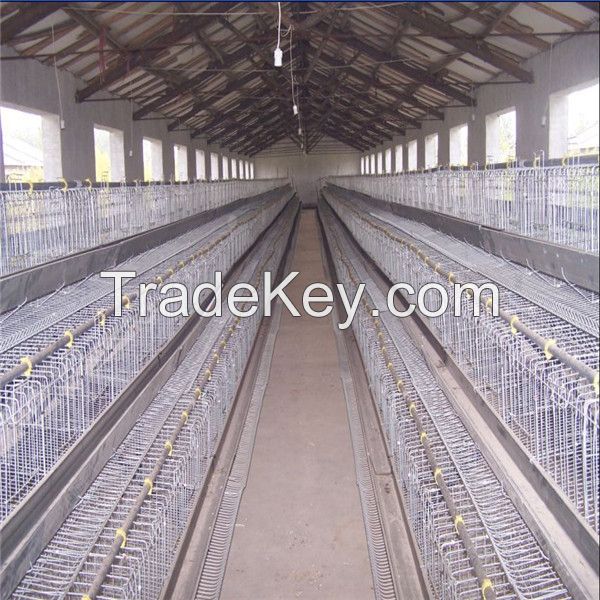 poultry layer farming equipment layer chicken battery cages for zimbabwe poultry farms