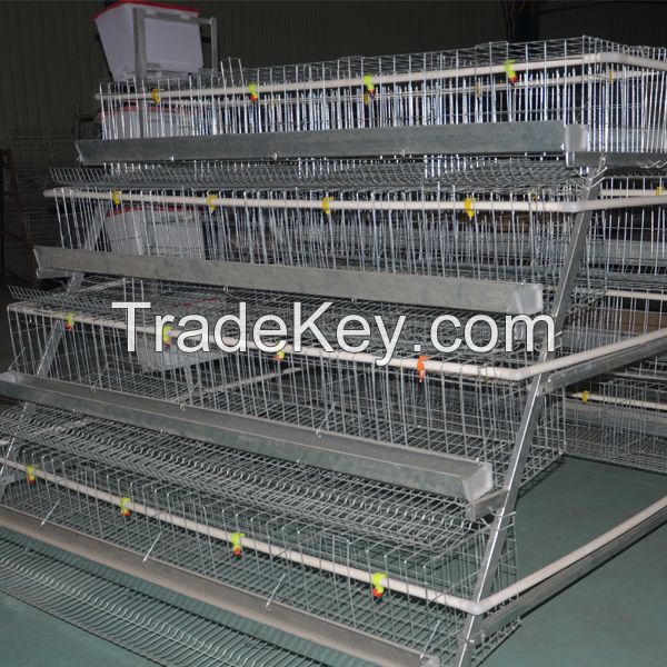 automatic chicken cage poultry equipment with feeding and drinking system 